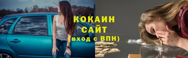 трава Балахна
