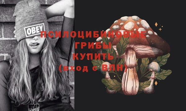 трава Балахна